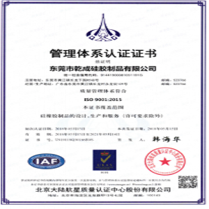 热烈祝贺公司顺利通过ISO9001-2015版国际质量体系认证！！！